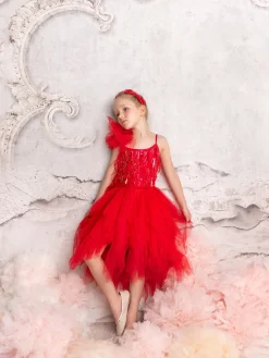 Ruby Dazzle Tutu Dress